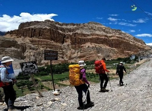 How to use trekking poles
