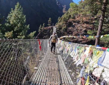 Suspense bridge