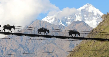 Donkey Crossing Suspension bridge with background Siringi Himal