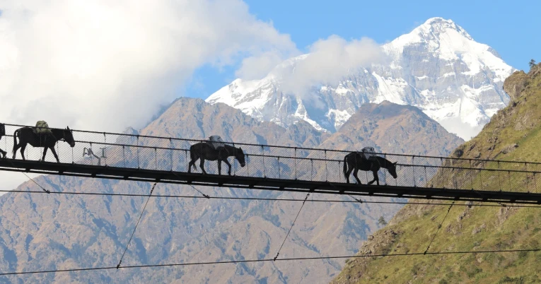 Donkey Crossing Suspension bridge with background Siringi Himal