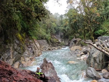 Dudh khola