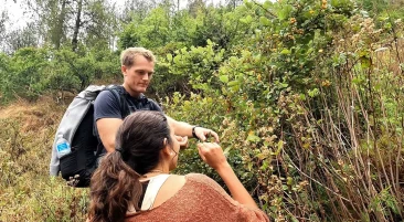 Eating local berries