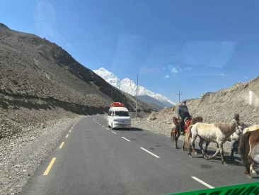 lower mustang