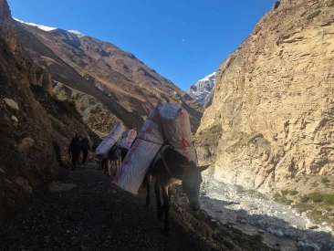 Means of Transport during Nar Phu Valley Trek