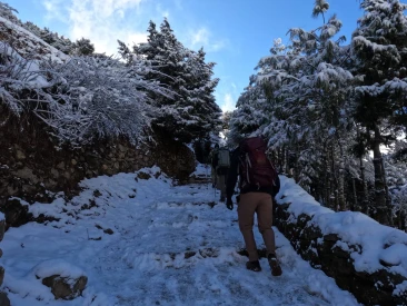 Trek trail to namche bazaar