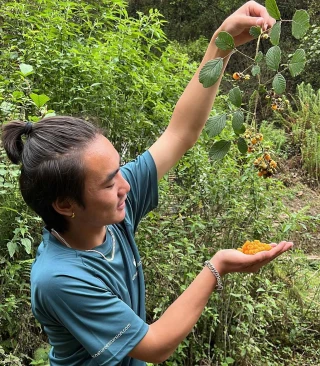 Plucking Wild Berries