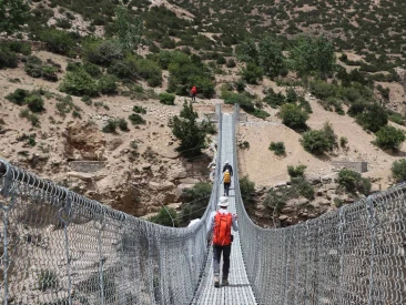 suspense bridge