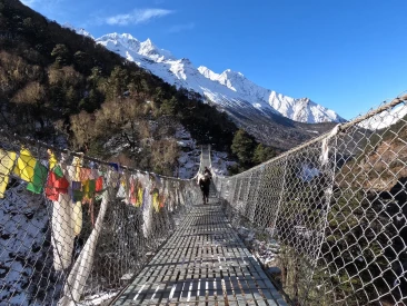 Sunny Day and suspension bridge
