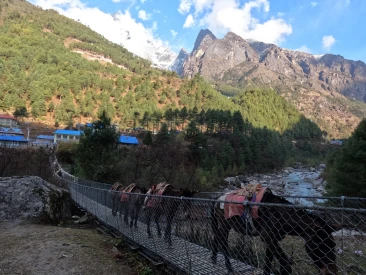 Trek from phakding to namche