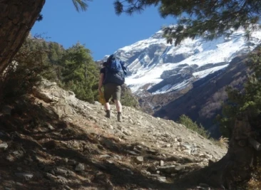 Trekker climbing rocky forest trail