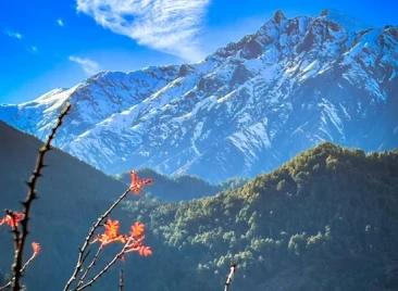 view of annapurna
