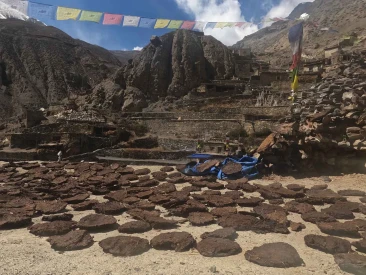 Yak Dung